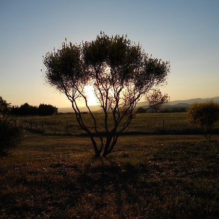 Agriturismo Il Grillo Parlante Pitigliano Eksteriør bilde