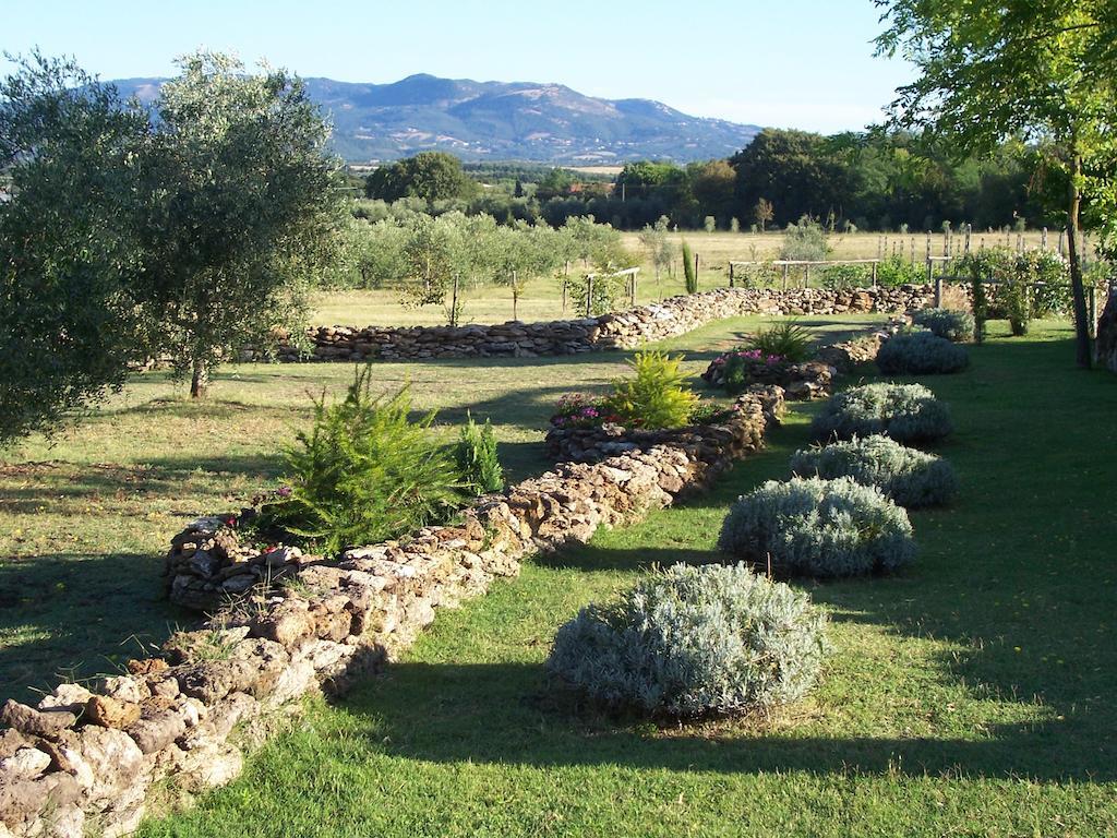 Agriturismo Il Grillo Parlante Pitigliano Eksteriør bilde