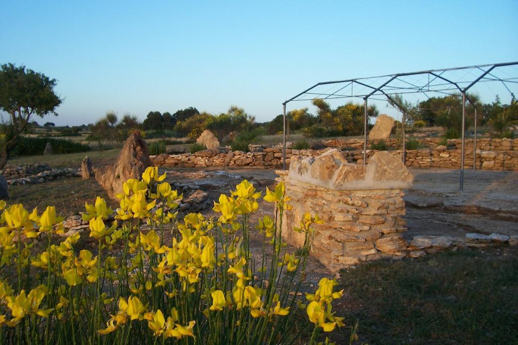 Agriturismo Il Grillo Parlante Pitigliano Eksteriør bilde