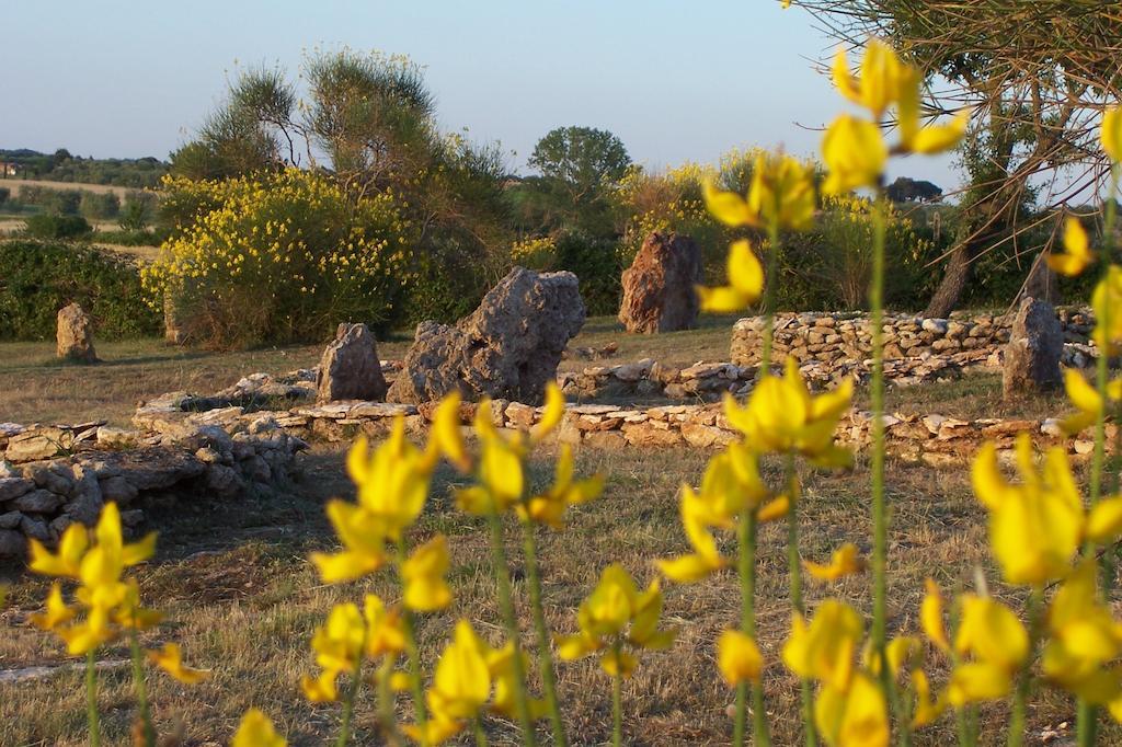 Agriturismo Il Grillo Parlante Pitigliano Eksteriør bilde