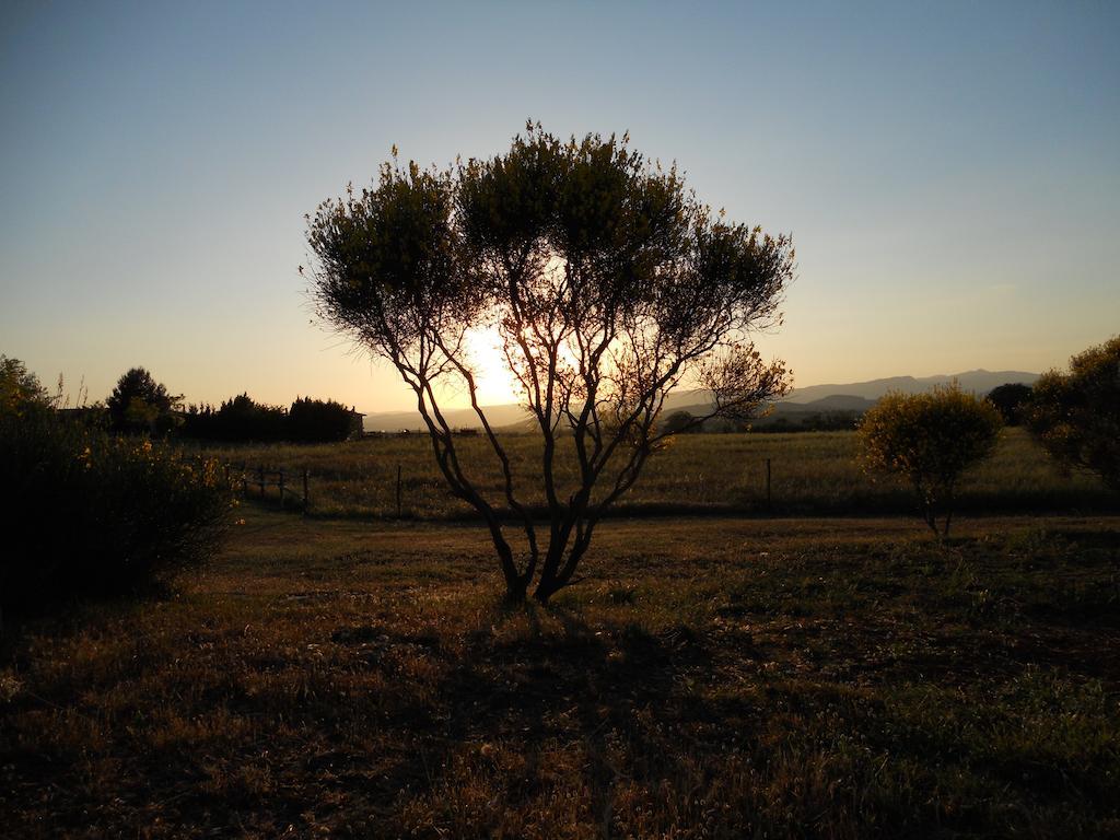 Agriturismo Il Grillo Parlante Pitigliano Eksteriør bilde
