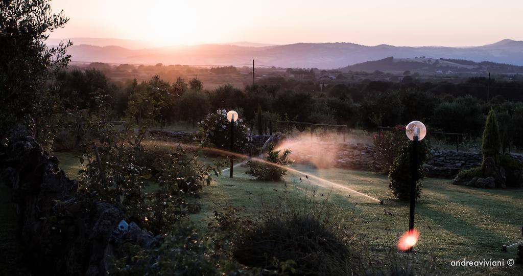 Agriturismo Il Grillo Parlante Pitigliano Eksteriør bilde